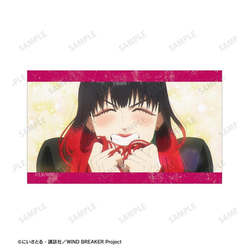 《WIND BREAKER》椿野佑 插畫卡3張套組