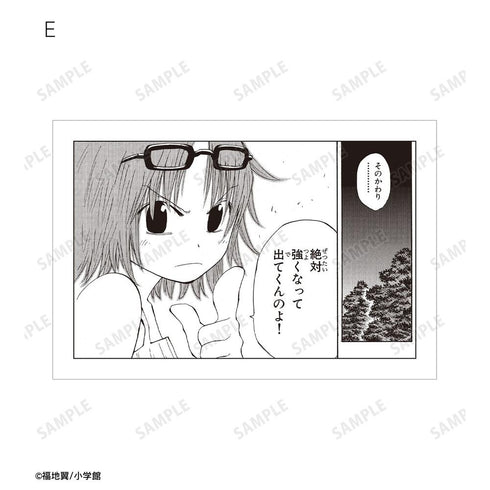 『うえきの法則』原作コマポストカード6枚セット ver.A