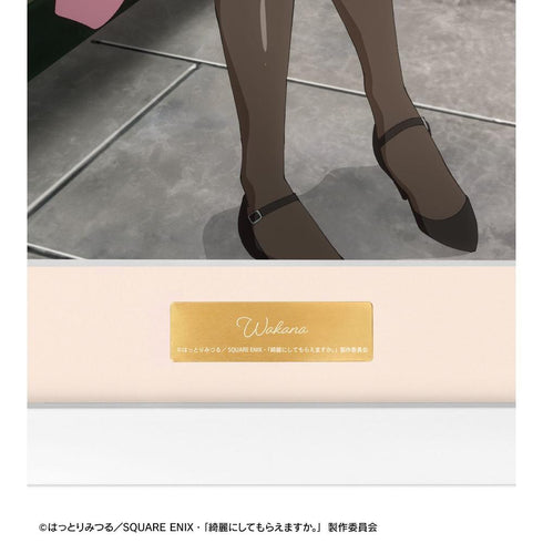 『綺麗にしてもらえますか。』金目綿花奈 A キャラファイングラフ