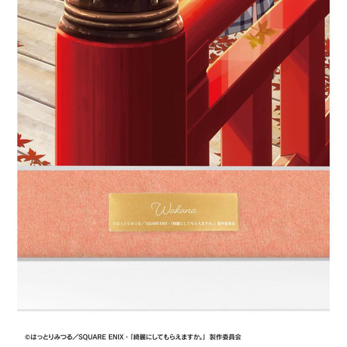 『綺麗にしてもらえますか。』金目綿花奈 D キャラファイングラフ