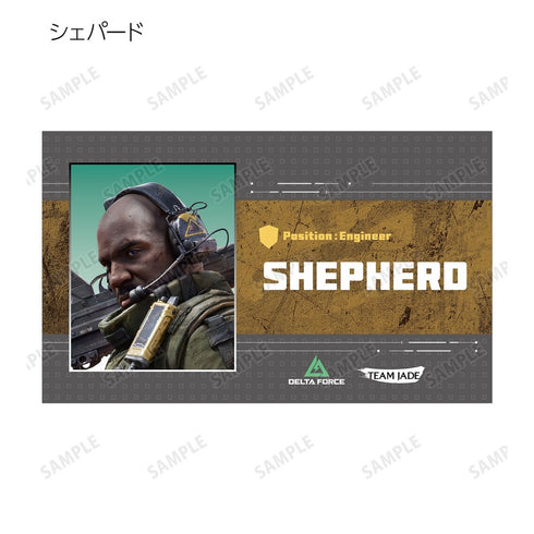 "Delta Force" Trading Business Card Set (Sold by the box)