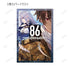 《86》收藏卡(單位/盒)