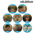 "MILGRAM" Trading Music Video Pin Badges: Kazu-i "Camouflage" (Sold by the box)