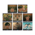 "MILGRAM" Trading MV Acrylic Cards: Kazu-i "Camouflage" (Sold by the box)