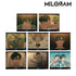 "MILGRAM" Trading MV Acrylic Cards: Kazu-i "Camouflage" (Sold by the box)