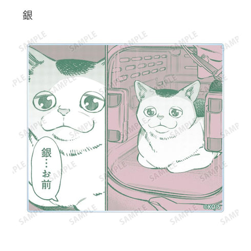 "The Way of the Ultimate Househusband" Trading Card Set: Original Comic Panel Acrylic Cards (Unit: Box)