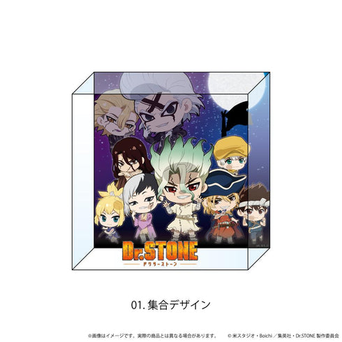 『Dr.STONE』アクリルブロック(正方形)01/集合デザイン(ここぺたver.)