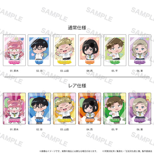 《截然不同的你和我》卡包01/收藏卡(全12种,含6种稀有款)(Kokopeta版)【BOX】