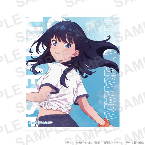 《Gridman Universe》全新绘制 体操服版 亚克力收藏卡【套装】