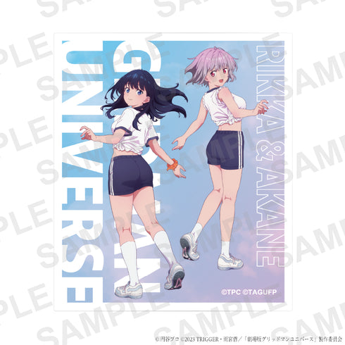 《Gridman Universe》全新绘制 体操服版 亚克力收藏卡【套装】