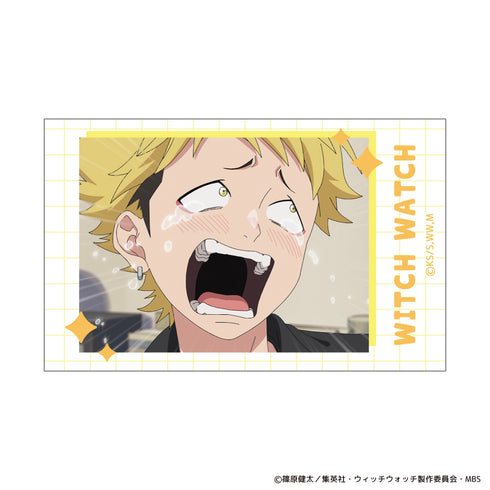 『ウィッチウォッチ』TDインスタントフォト風カード BOX (全18種)