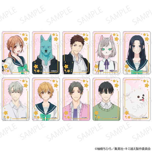 『キミと越えて恋になる』トレーディングキャラクタースクエア缶バッジ【BOX】【202601再販】