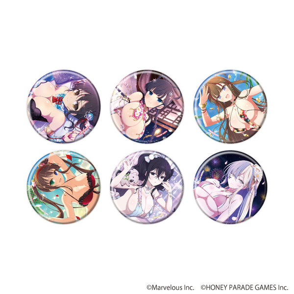 『シノビマスター 閃乱カグラ NEW LINK』缶バッジ03/BOX2 BOX(全6種)(公式イラスト)