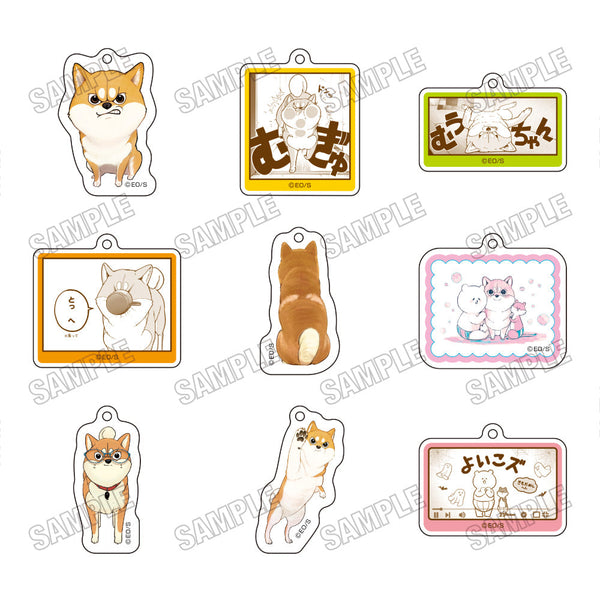 『シバつき物件』アクリルチャームコレクション【BOX】
