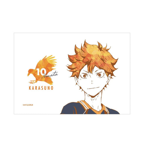 『ハイキュー!!』日向翔陽 Ani-Art パスケース【202608再販】