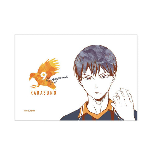 《排球少年!!》影山飛雄 Ani-Art 卡包【202608 再版】