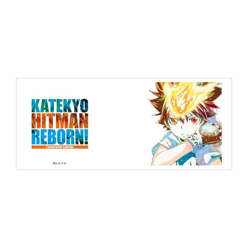 『家庭教師ヒットマンREBORN!』沢田綱吉 Ani-Art マグカップ【202509再販】