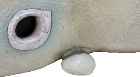 『ウルトラマンシリーズ』CCP 1/6 特撮シリーズ 二次元怪獣 ガヴァドン(A)