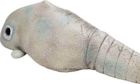 『ウルトラマンシリーズ』CCP 1/6 特撮シリーズ 二次元怪獣 ガヴァドン(A)