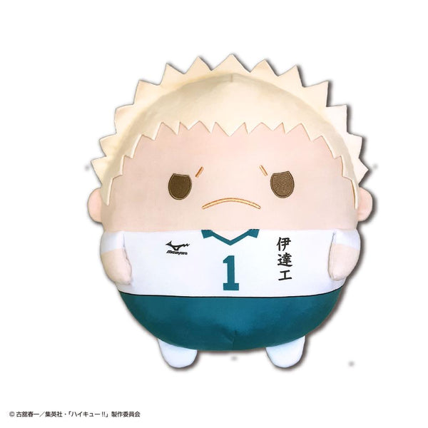 『ハイキュー!!』HQ-61 ふわコロりんBIG2 E 青根高伸