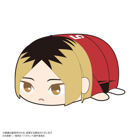 『ハイキュー!!』HQ-78 ぽてコロマスコット2【BOX】