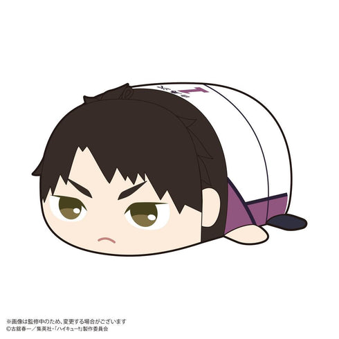 『ハイキュー!!』HQ-78 ぽてコロマスコット2【BOX】