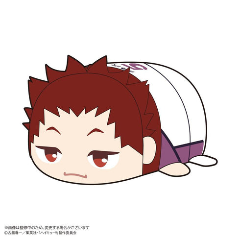 『ハイキュー!!』HQ-78 ぽてコロマスコット2【BOX】