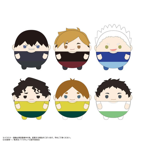 『ハイキュー!!』HQ-76 ふわコロりん10【BOX】