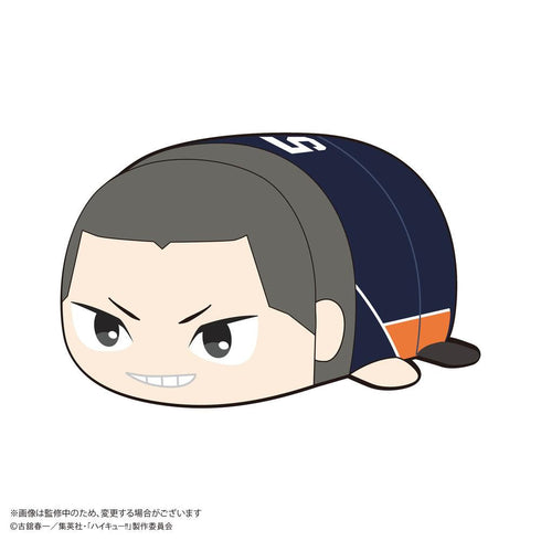 『ハイキュー!!』HQ-87 ぽてコロマスコット Msize3 B 田中龍之介