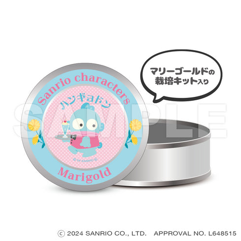 『サンリオキャラクターズ』_マグネット缶ケース(栽培キット入り)_ハンギョドン