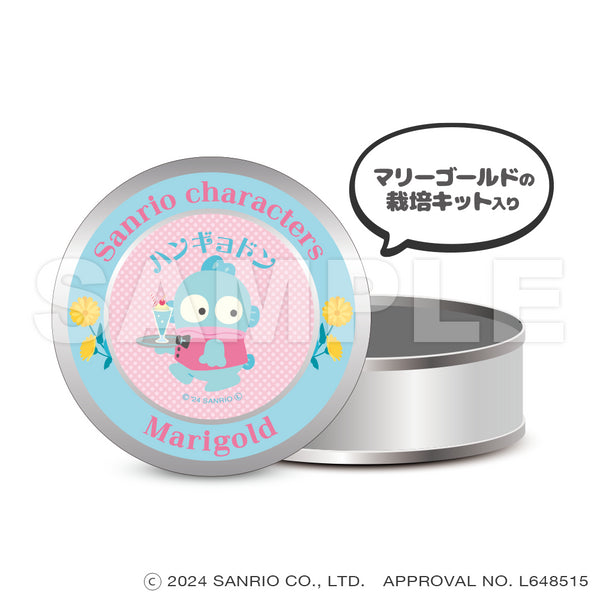 『サンリオキャラクターズ』_マグネット缶ケース(栽培キット入り)_ハンギョドン