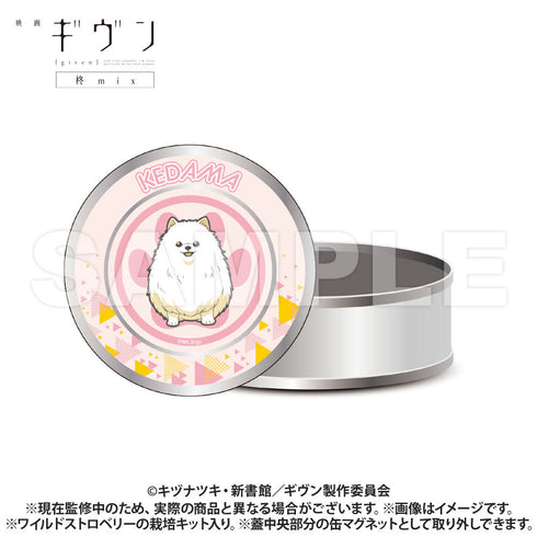 『ギヴン 柊mix』栽培キット入りギフト缶 毛玉