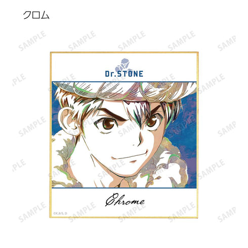 『Dr.STONE』トレーディング Ani-Art ミニ色紙(単位/BOX)【202510再販】