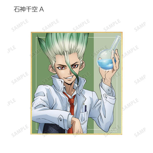 『Dr.STONE』描き下ろしイラスト 石化前ver. トレーディングミニ色紙(単位/BOX)【202512再販】