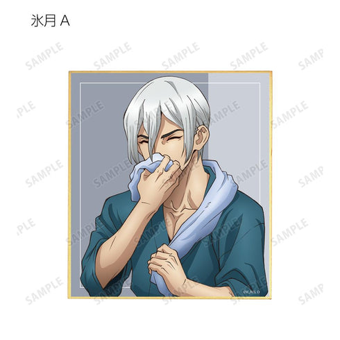 『Dr.STONE』描き下ろしイラスト 石化前ver. トレーディングミニ色紙(単位/BOX)【202512再販】