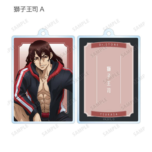 『Dr.STONE』描き下ろしイラスト 石化前ver. トレーディング両面アクリルキーホルダー(単位/BOX)【202510再販】
