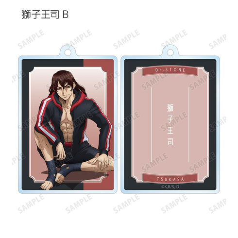 『Dr.STONE』描き下ろしイラスト 石化前ver. トレーディング両面アクリルキーホルダー(単位/BOX)【202510再販】