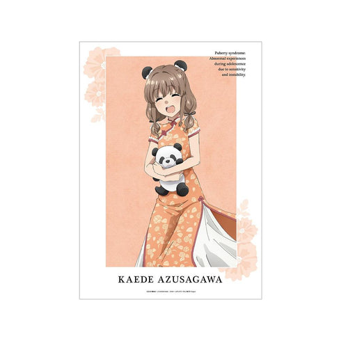 《青春猪男不会梦见兔女郎前辈》全新绘制插画 梓川枫 旗袍版 A3哑光处理海报【202604再版】