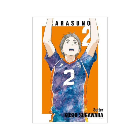 《排球少年!!》菅原孝支 Ani-Art 第3彈 A3霧面處理海報【202608再版】