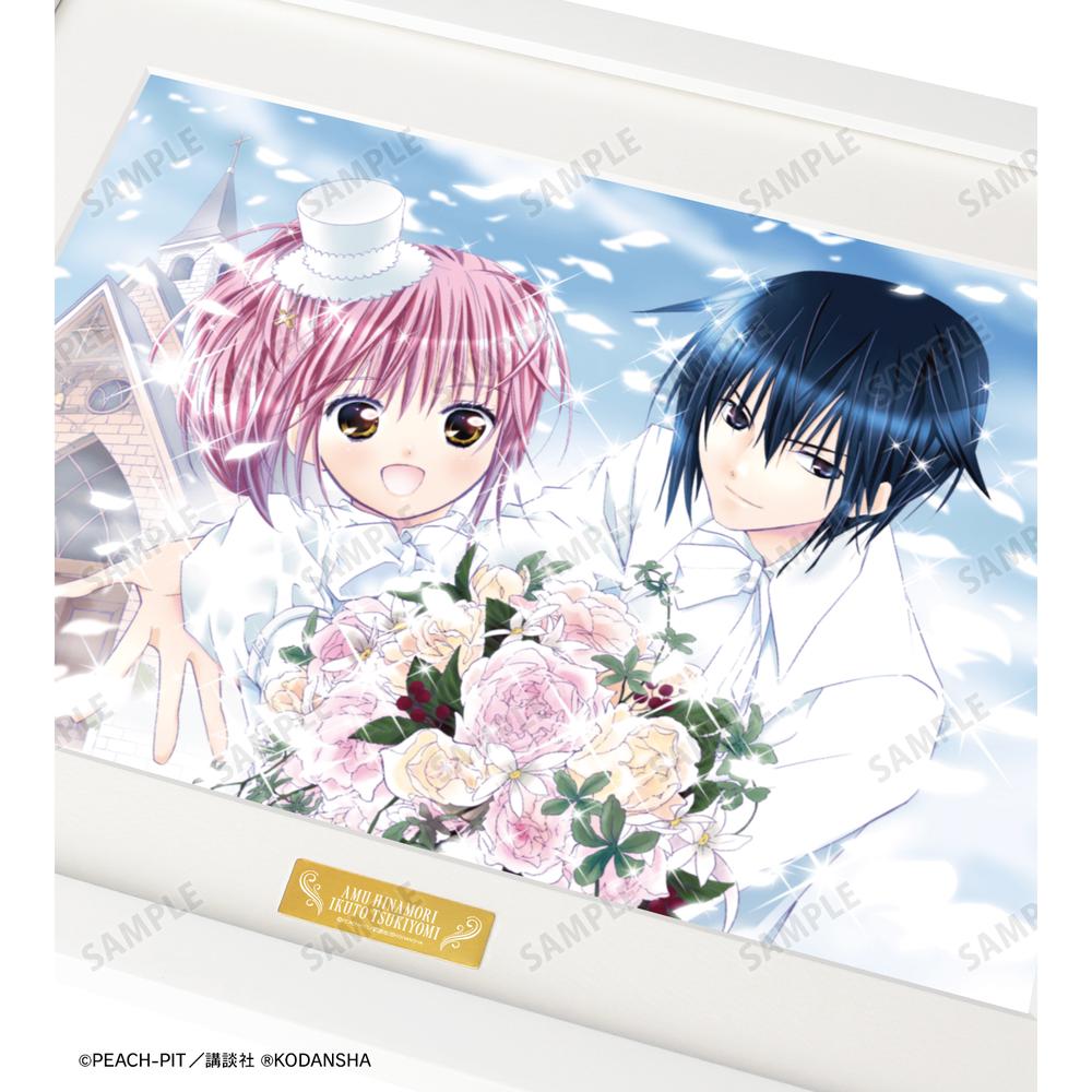 しゅごキャラ!』日奈森あむ&月詠幾斗 キャラファイングラフ