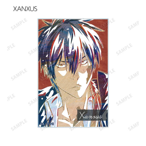 『家庭教師ヒットマンREBORN!』トレーディング Ani-Art 第2弾 アクリルカード(単位/BOX)【202512再販】