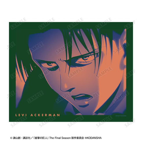 『進撃の巨人』リヴァイ paleful キャンバスボード【202512再販】