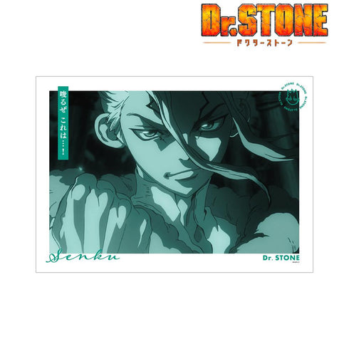 『Dr.STONE』石神千空 A3マット加工ポスター【202412再販】