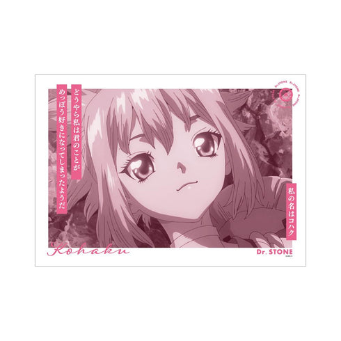 『Dr.STONE』コハク A3マット加工ポスター【202510再販】