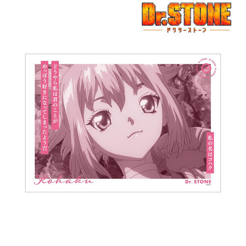 『Dr.STONE』コハク A3マット加工ポスター【202510再販】