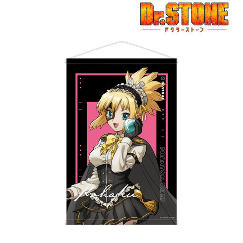 『Dr.STONE』描き下ろしイラスト コハク 怪盗団ver. B2タペストリー【202412再販】