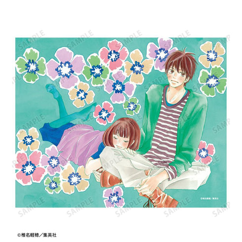 『君に届け』episode68. 扉イラスト キャンバスボード【202502再販】