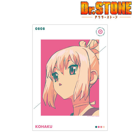 『Dr.STONE』コハク paleful A3マット加工ポスター【202510再販】