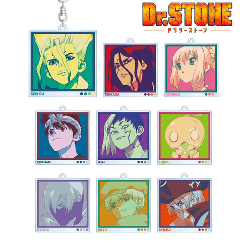 『Dr.STONE』トレーディング paleful アクリルキーホルダー(単位/BOX)【202510再販】