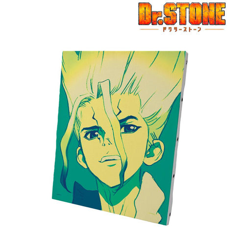 『Dr.STONE』石神千空 paleful キャンバスボード【202412再販】